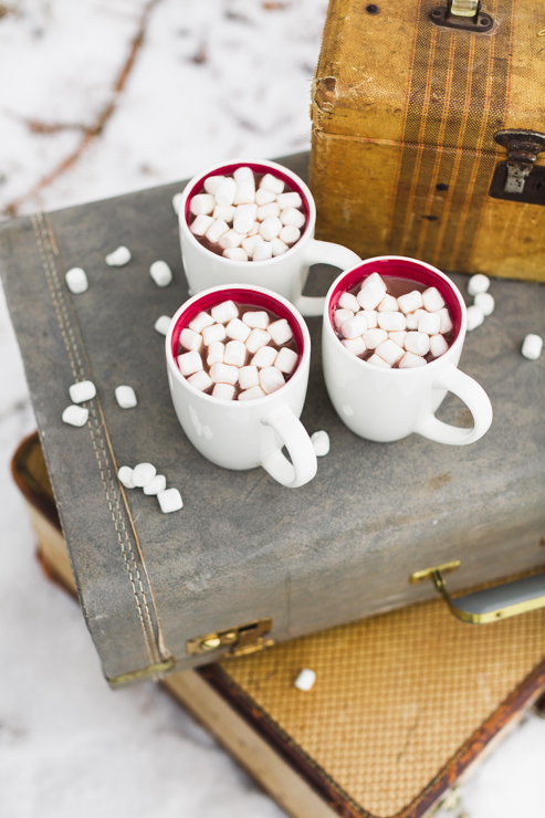 white and red mugs filled with hot coco and marshmallows sit on top of vintage suitcase during a styled winter senior photo session
