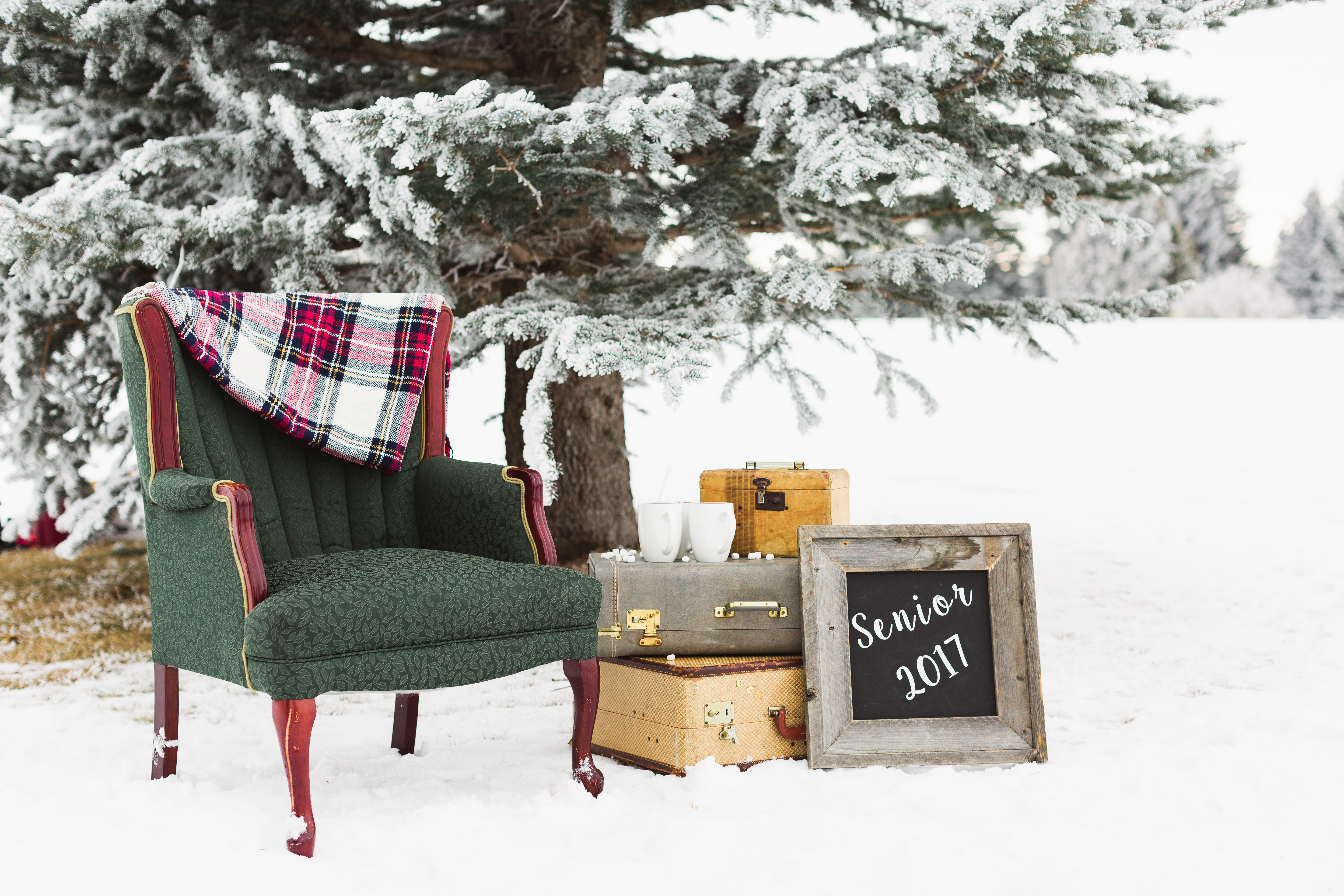 A green antique arm chair sits next to vintage suitcases and decorative chalkboard with senior 2017 written on it for a styled winter senior photo session