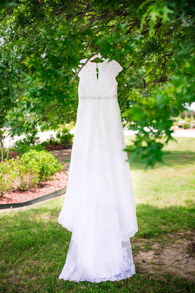 beautiful short sleeve lace gown with a chapel train hangs from the leafy green branches of a tree